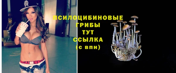 каннабис Тайга