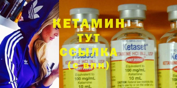 стаф Тавда