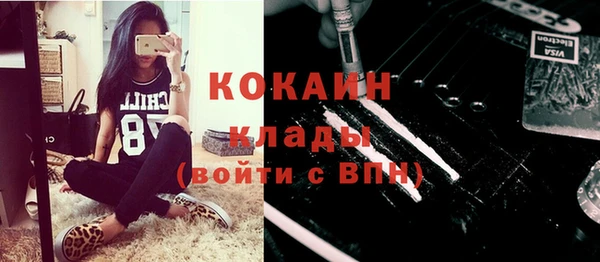 стаф Тавда