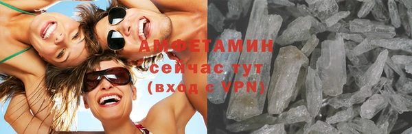 стаф Тавда